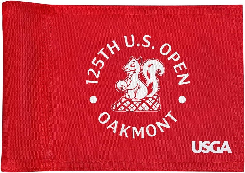 COGOLFING 2025 Themed Mini Golf Flag, 8x6 Inch, Double-Sided Silk-Printed, Durable 420D Nylon, Ideal for Backyard Practice Putting Green - Image 1